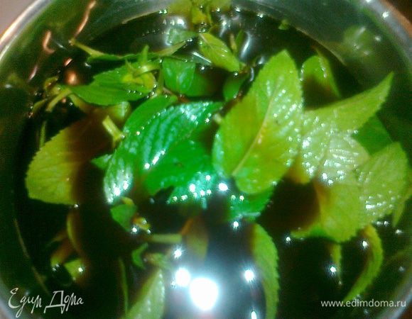 заварить крепкий кофе и положить в горячий пару веток мяты,отставить остывать