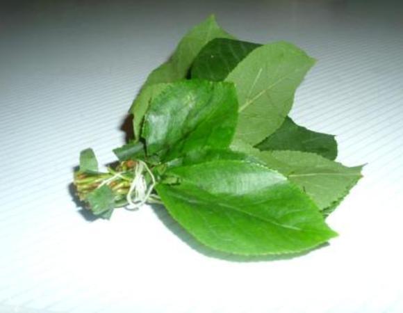  Листики поместить в марлевый мешочек или сделать "букетик", связав ниткой.
Есть ещё один вариант использования вишневых листьев: сначала в течение 15 минут проварить их в небольшом количестве воды, а затем использовать полученный отвар для прготовления сиропа.