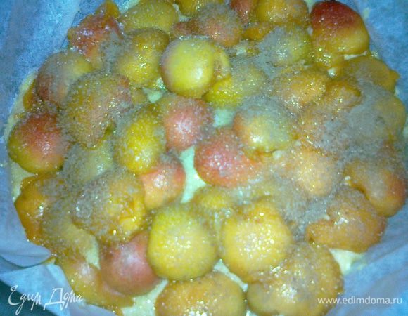 форму застелить пергаментом,выложить тесто,поверх выложить абрикосы,посыпать их сверху ванильным сахаром и корицей,поставить выпекать в духовку при т.240гр. около 30мин