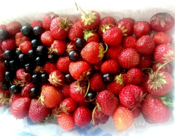 В это время готовим ягодный соус.Промываем ягоды(оставим несколько с веточками для украшения!) 