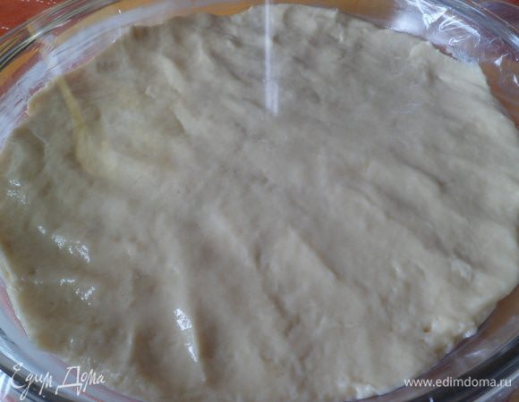 Круглую форму с бортиками смазать маслом, тесто выложить и распределить- размять равномерно по форме, накрыть и дать подойти 1 час (сейчас тепло можно 30 минут)