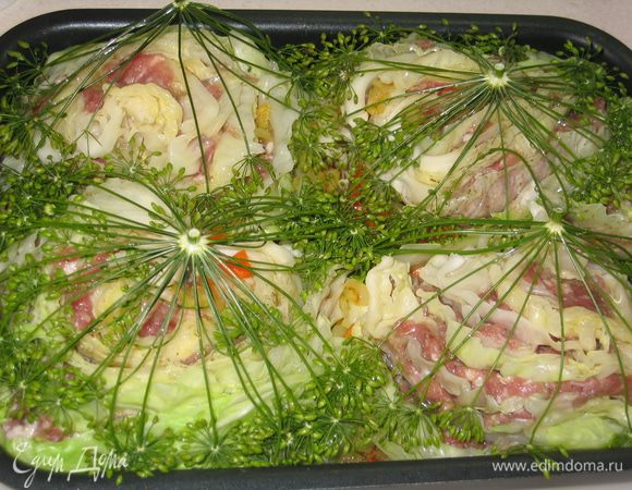 Уложить кочаны в глубокую форму так, чтобы они поддерживали друг друга...между ними разместить поджаренные овощи...накрыть каждый кочанчик укропным зонтиком и сбрызнуть растительным маслом