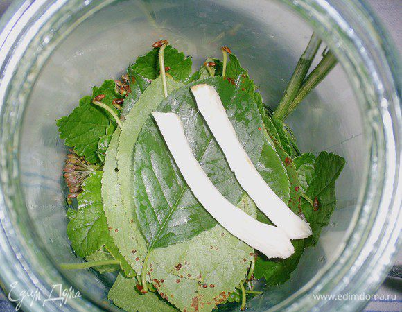 Зелень моем и укладываем на дно банки.