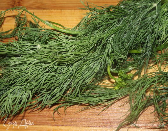 Укроп