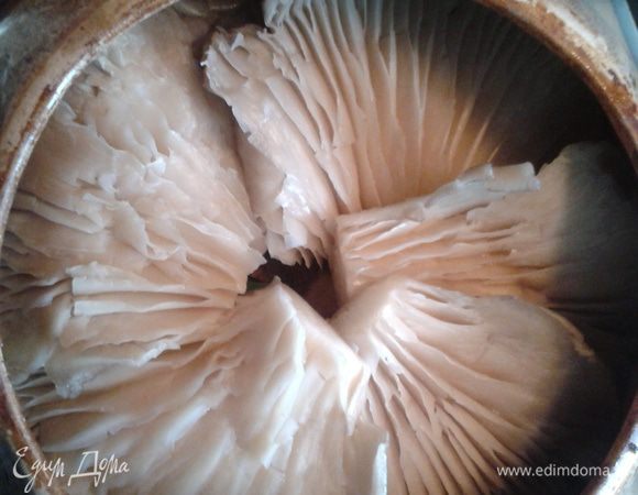 Далее наши шапочки от грибов которые мы отложили в начале. укладываем прожилками вверх веером.