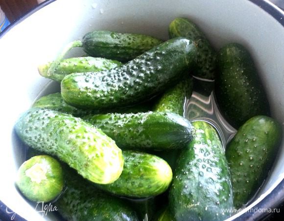 Итак,как в анекдоте про хирурга:чистый стол,стерильный нож,пакетик,зелень,огурцы,спирт...,нет,спирта у нас не будет!...Заливаем огурцы холодной водой (пока несли их по жаре,они чуть подвяли!),через несколько минут промываем...