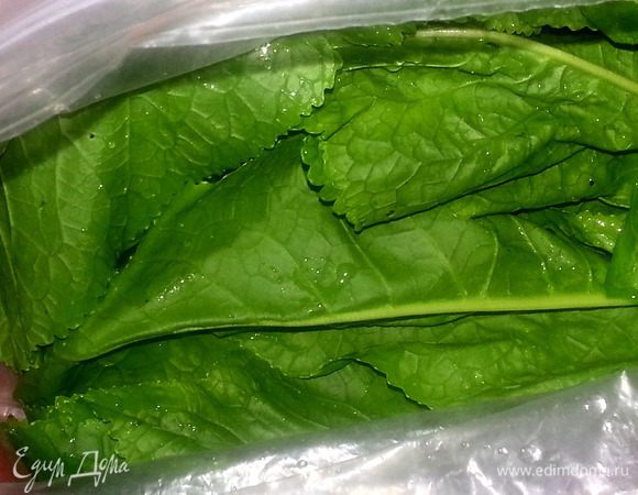 В большой плотный пакет кладём промытую зелень (на фото листья хрена,но нужно ещё смородиновые,вишнёвые листья)