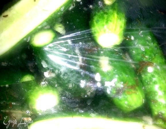 Укладываем на тарелку (для страховки,вдруг,при тряске пакет слегка повредили!) узлом вверх и отправляем в холодильник с чувством выполненного долга!