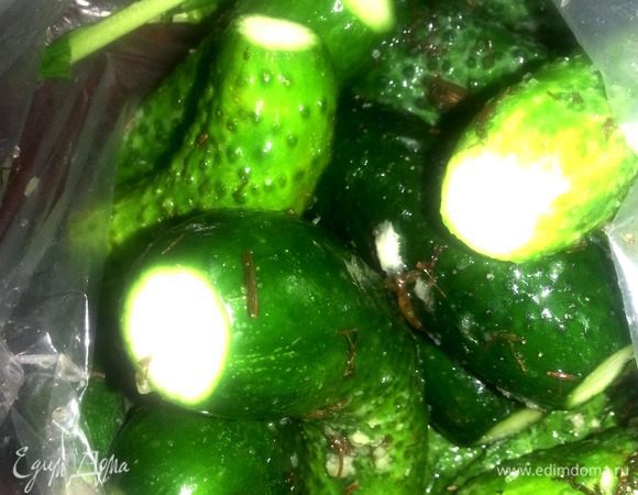 К утру,если не было ночных налётов на холодильник подрастающего поколения,вы обнаружите равномерно просоленные,прохладные огурчики-высший пилотаж!!!