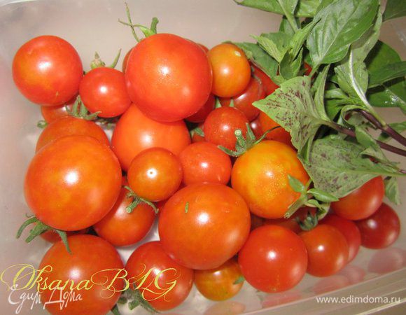 Помидоры и базилик вымыть, удалить хвостики.