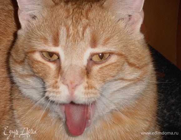 Головы наш кот ловил на лету и съедал)))