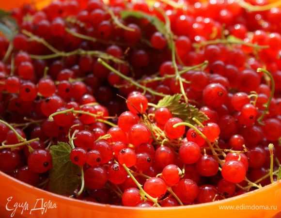 Ягоды красной смородины вместе со стебельками и листиками тщательно вымыть.