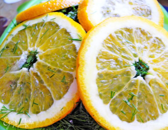 Затем сверху посыпать мелко нарезанным укропом или зеленью фенхеля. 
Апельсины нарезать на кружочки и разложить сверху, плотно прижимая. Затем сверху закрыть пленкой и положить в холодильник на 2-3 суток. 