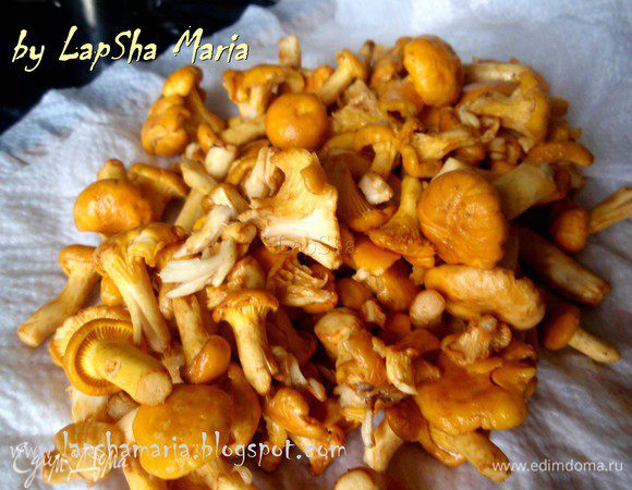 Надо всегда помнить, что лисички требуют очень внимательной подготовки. Их нужно хорошенько мыть, чтобы не оставалось ни веточек, ни земли, ни грязи. Помыв из выкладываем на бумажное полотенце и дадим 5-10 минут, чтобы стекла лишняя вода.