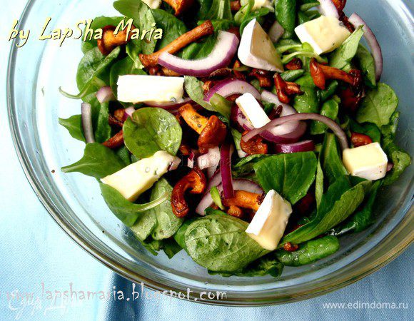 Смешаем листья маше с луком, горячие грибы и заправку. Аккуратно перемешаем руками или двумя ложками. Сверху на  положим ломтики сыра. Приятного аппетита!