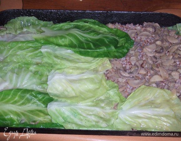 Последним слоем должны идти капустные листья. 