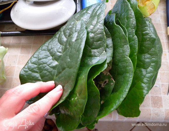 Листья базеллы, посистить сухие пятна, помыть