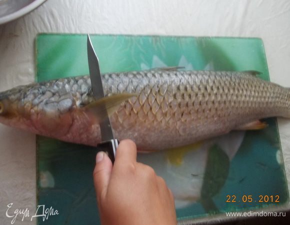 У рыбы отрезать голову и хвост. Аккуратно вынуть внутренности и вымыть.