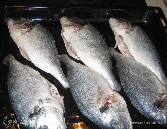Рыбу очистить от чешуи, вынуть внутренности, удалить жабры и плавники. Уложить на смазанный маслом противень