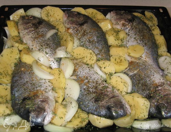 Картофель очистить и нарезать кольцами 1,5-2 см. толщиной. Лук почистить и нарезать перьями. Уложить картофель и лук вокруг каждой рыбки по всему периметру формы. Посолить, поперчить, посыпать имбирем и прованскими травами и сбрызнуть оливковым маслом