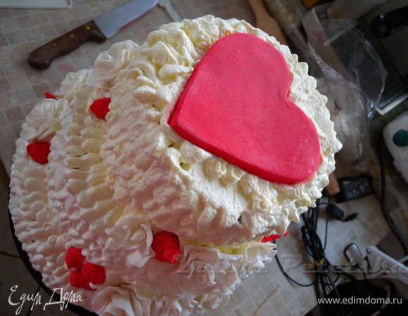 Под котиков - подиум сердце