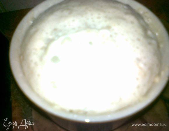 сделать живые дрожжи