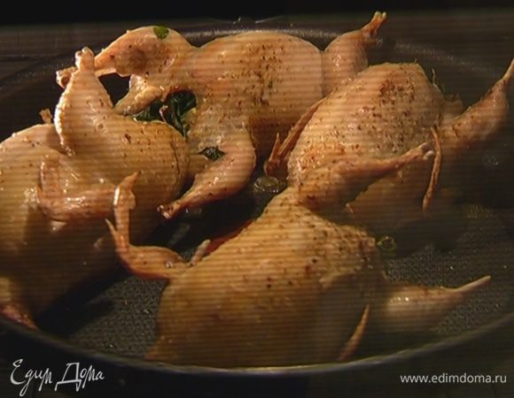 Слегка сбрызнуть перепелок оливковым маслом, уложить в глубокий противень или сковороду со съемной ручкой и отправить в разогретую духовку на 20 минут. Затем на пару минут поместить под гриль, чтобы образовалась поджаристая корочка.