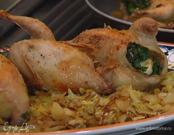 Выложить капусту в большое блюдо, сверху уложить перепелок.