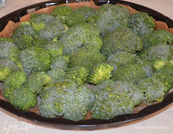 Брокколи помыть, разобрать на маленькие соцветия и уложить их на тесто (при этом твердые ножки нужно обрезать, оставив только шапочки)