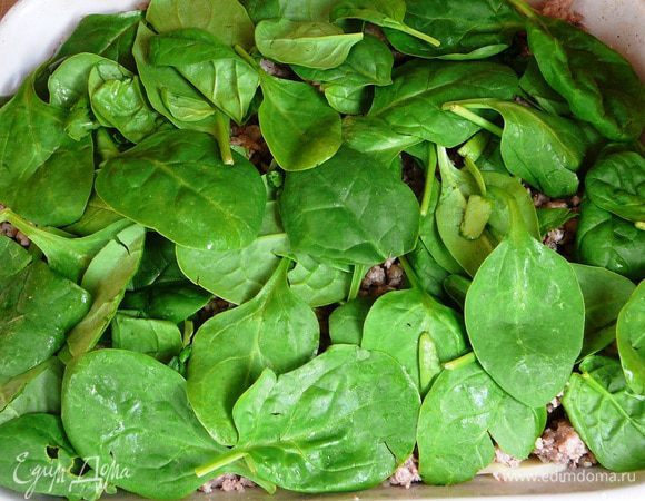 3 слой - шпинат