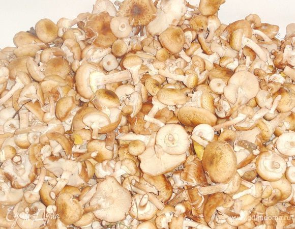 Это мне грибочков привезли на одну сковородку)))