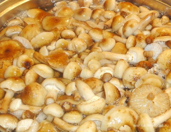 Грибы отварите 15 минут, бросив их в кипящую воду. Затем откиньте на сито и дайте воде стечь. Остудите. Тем временем отварите рис и тоже дайте ему остыть.