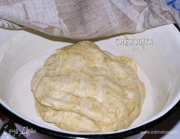 Замешиваем тесто и оставляем его в тёплом месте на 45-60 минут побродить. Я поставила в остывающую духовку.