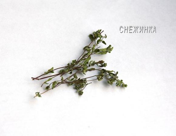 Майоран если свежий порубить. Если сушёный, как у меня, листочки оборвать и растереть.