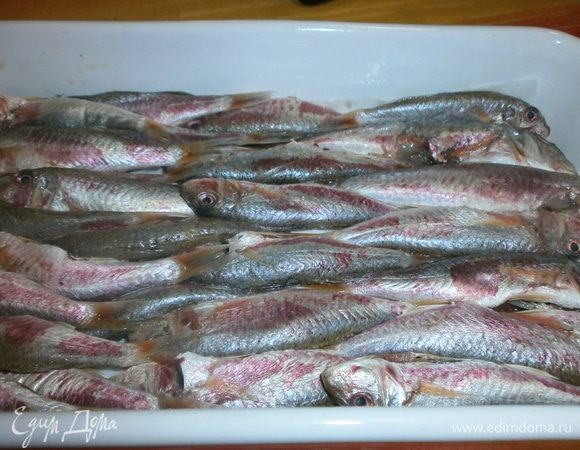 Дно огнеупорной формы смазать оливковым маслом и уложить рыбу.