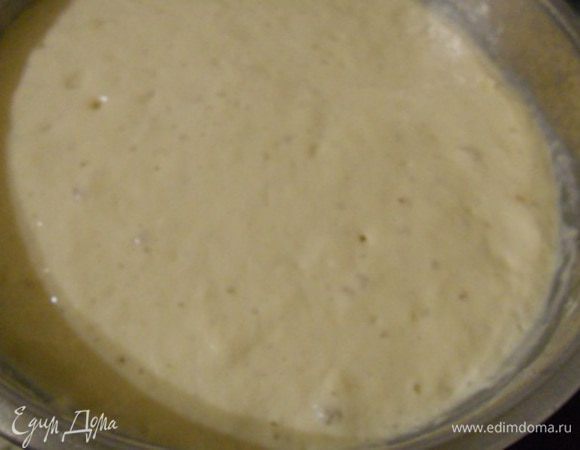 опару смешать с теплой сывороткой,добавить соль и 1 ст.л. растит.масла и добавить 200 г муки,все размешать и оставить подходить на 35 мин.