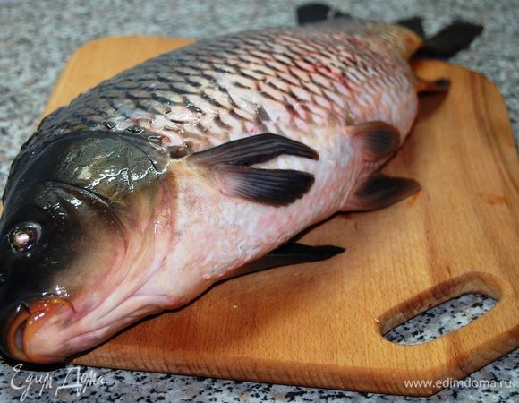 Для следующей процедуры лучше всего пригласить мужа и вручив ему нож – объяснить суть дела. Карпа очистить от чешуи и вымыть. 