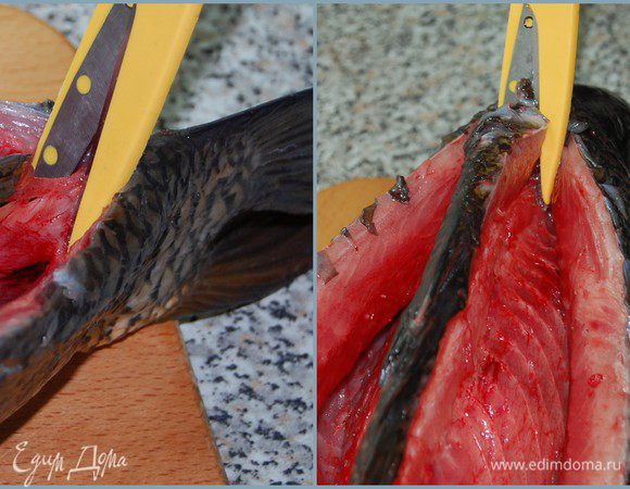Ножницами подрезать хребтовую кость у головы и хвоста. 