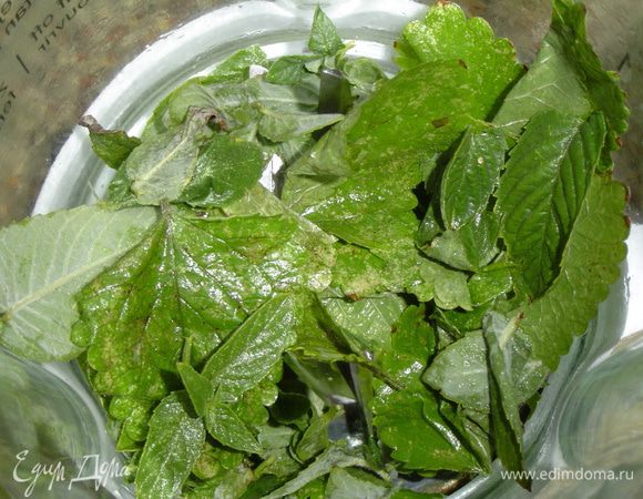 Промываем мяту, отделяем листочки и помещаем в блендер,