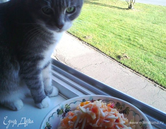 Дуся любопытствует,чем я занимаюсь,а заодно ловит лучи осеннего солнышка!