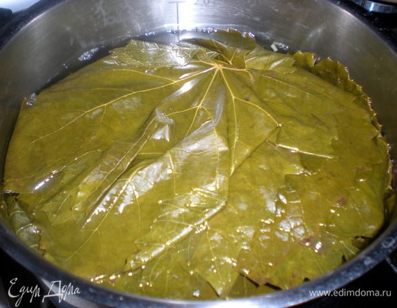 Если у вас консервированные листья,то сначала их нужно тщательно промыть,а затем приступать к фаршированию.Еще вариант со свежими листьями-отварить в подсоленой воде в течении 3 минут,затем промыть в холодной и готово.P.S.Листья лучше собирать во время цветения виноградников,тогда они наиболее мягкие и нежные.Я делала по всем вариантам и разницы не заметила.В итоге я собрала все рецепты,перемешала,выбрала из них разные детали.и получилось так: свежие листья промыла,замариновала с утра,вечером отварила,промыла и нафаршировала.