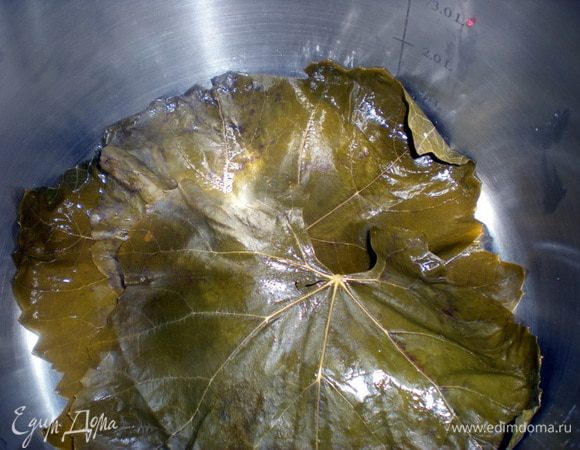 Бараньи кости порубить и положить в кастрюлю,сверху уложить слой виноградных листьев.