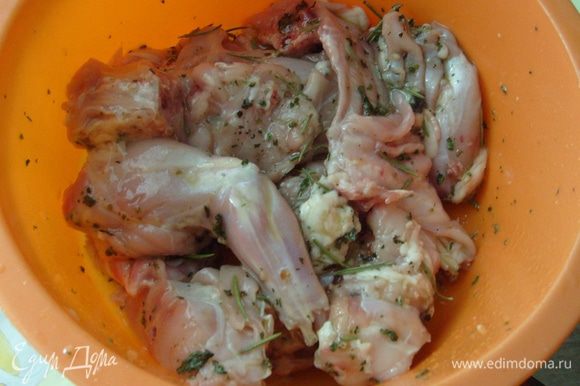 Порубить тушку кролика на порционные куски и замариновать в маринаде на 2-3 часа.