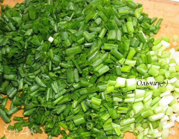  Зеленый лук моем и мелко режем.