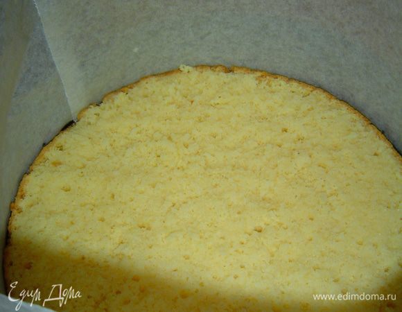 На дно разъемной формы кладем бисквитный корж, из бумаги для выпечки делаем бортик.