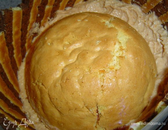 бисквитный корж слегка смазываем сливочно-абрикосовым кремом, в центр выкладываем бисквитную полусферу,