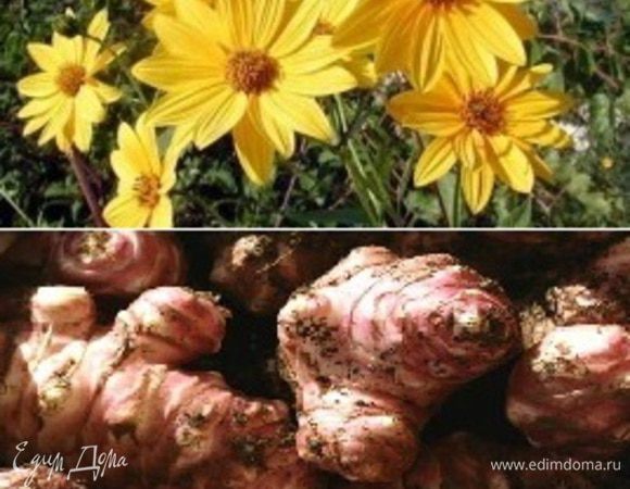 Топинамбур очистить и сразу сложить клубни в подкислённую воду,чтобы они не потемнели.Сварить топинамбур с добавлением соли,слить воду и измельчить погружным блендером.Добавить подогретые сливки и взбить пюре ещё раз.