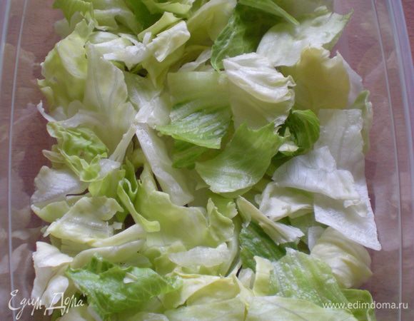 Взять посуду для обедов/бутербродов. Разложить салат. 