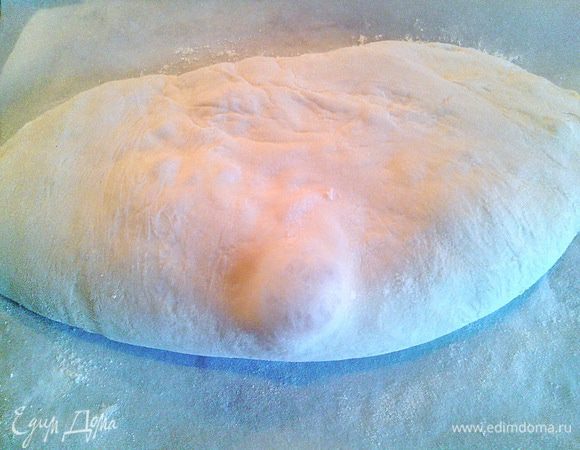 Сворачиваем пополам и перекладываем тесто на противень, застеленный бумагой и присыпанный мукой, швом вниз. Прикрываем сверху полотенцем и оставляем на 3 часа. Нужно обратить внимание на то, что тесто должно как следует увеличиться в размере (примерно в 3 раза). Если так не подошло, нужно увеличить время расстойки на 1-2 часа, т.к если в помещении прохладно оно дольше будет подниматься. Затем, полотенце убираем :) 
Отправляем в разогретую до 220 градусов духовку на 30-35 минут.
