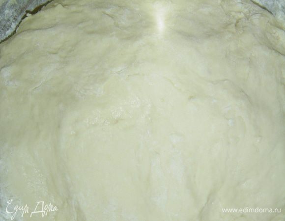 В молочно-дрожжевую смесь кладем просеянную муку (950г), тесто будет липким, но это нормально. Руки смазываем растительным маслом и формируем из теста шар, который перекладываем в миску, накрываем полотенцем и ставим в теплое место подходить, оно должно увеличиться почти вдвое.